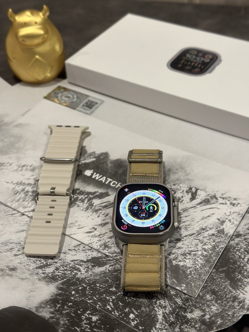 Apple Watch Ultra 2 1:1 Replica - Silver Titanium view