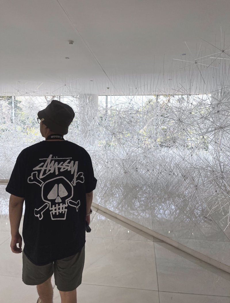 Stüssy Skull Crossbones Black T-Shirt