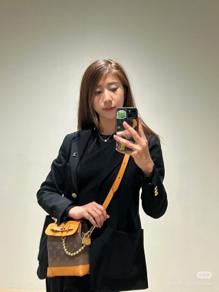 Louis Vuitton Monogram Canvas Brown & Tan Shoulder Bag