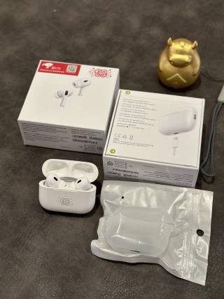 Apple AirPods Pro 2 Snake Year Limited Edition Replica Earbuds view 11