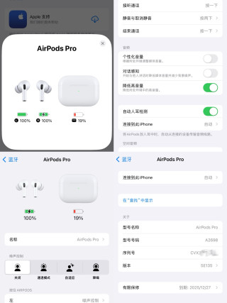Apple AirPods Pro 2 Snake Year Limited Edition Replica Earbuds view 12