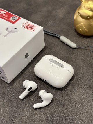 Apple AirPods Pro 2 Snake Year Limited Edition Replica Earbuds view 4