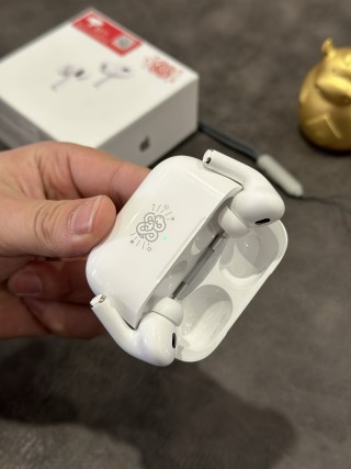 Apple AirPods Pro 2 Snake Year Limited Edition Replica Earbuds view 7