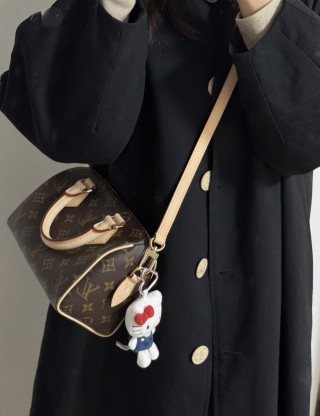 Louis Vuitton Speedy 20 Monogram Canvas Shoulder Bag