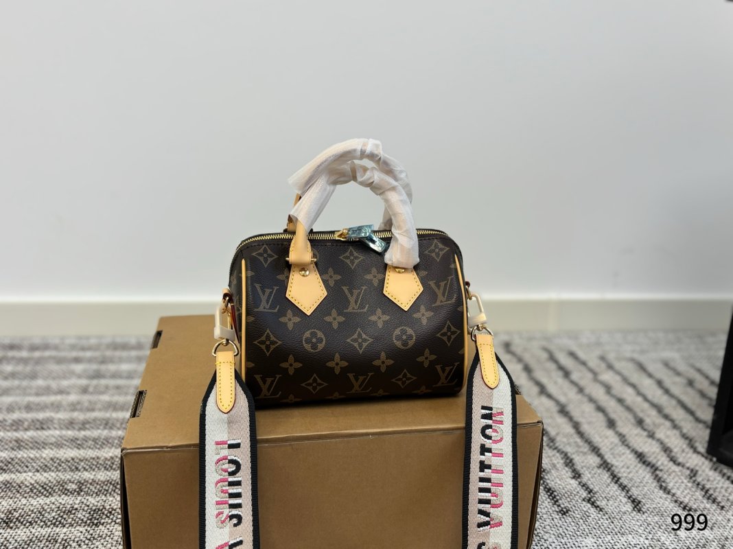 Louis Vuitton Speedy 20 Monogram Canvas Handbag