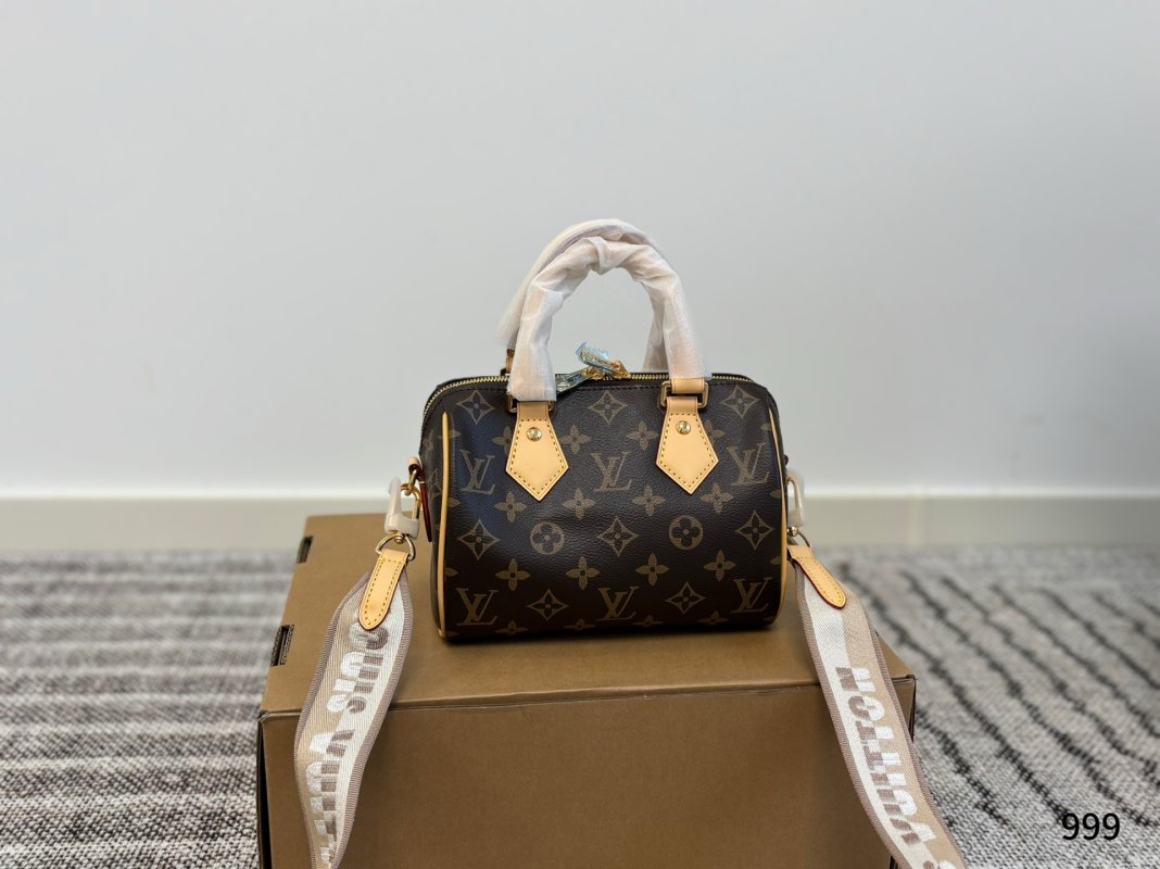 Louis Vuitton Speedy 20 Monogram Canvas Handbag view