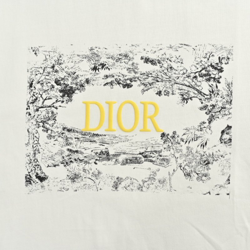 Dior White Graphic Logo T-Shirt view