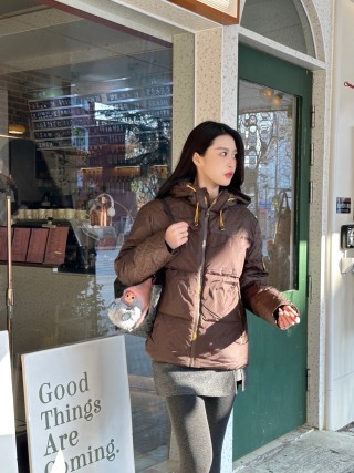 Brown Quilted Down Puffer Jacket with Hood view 2