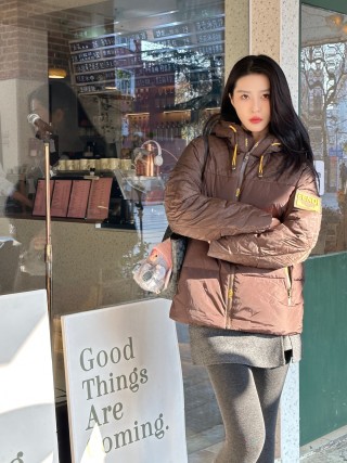 Brown Quilted Down Puffer Jacket with Hood view 3