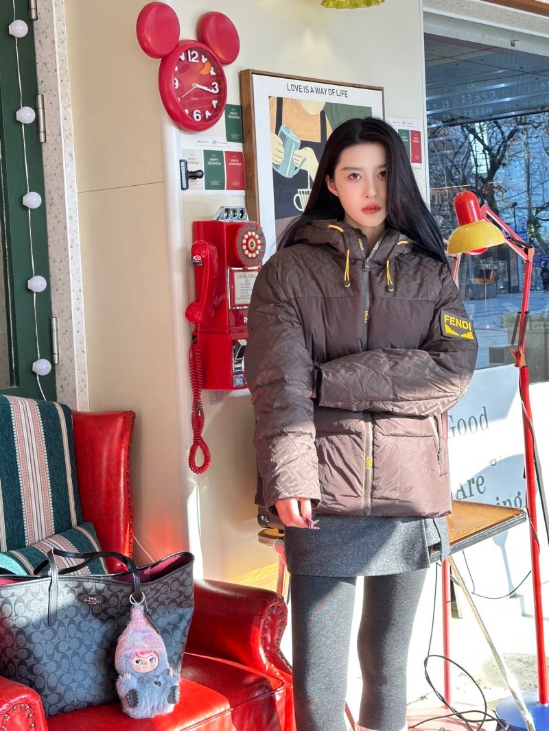 Brown Quilted Down Puffer Jacket with Hood view