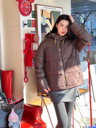 Brown Quilted Down Puffer Jacket with Hood view 8