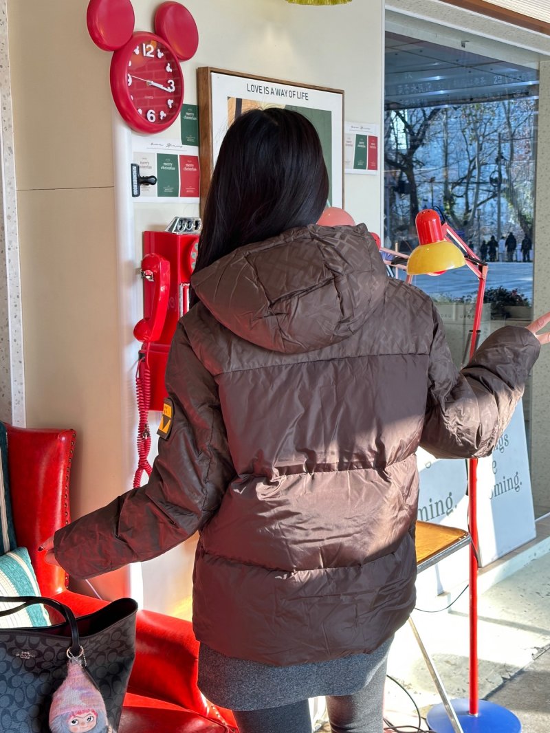 Brown Quilted Down Puffer Jacket with Hood view