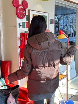 Brown Quilted Down Puffer Jacket with Hood view 9
