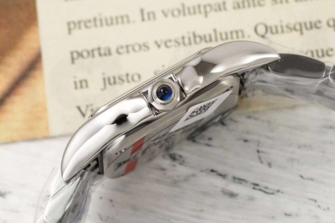 Cartier Panthère Small Silver Steel Watch view 8