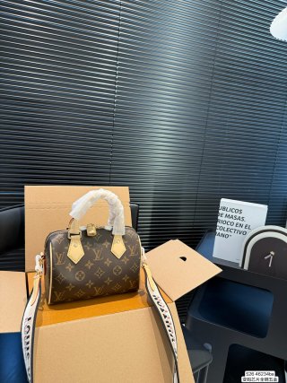 Louis Vuitton Speedy Pillow Bag Monogram Canvas