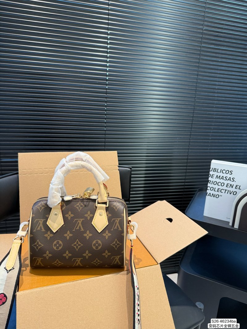 Louis Vuitton Speedy Pillow Bag Monogram Canvas view