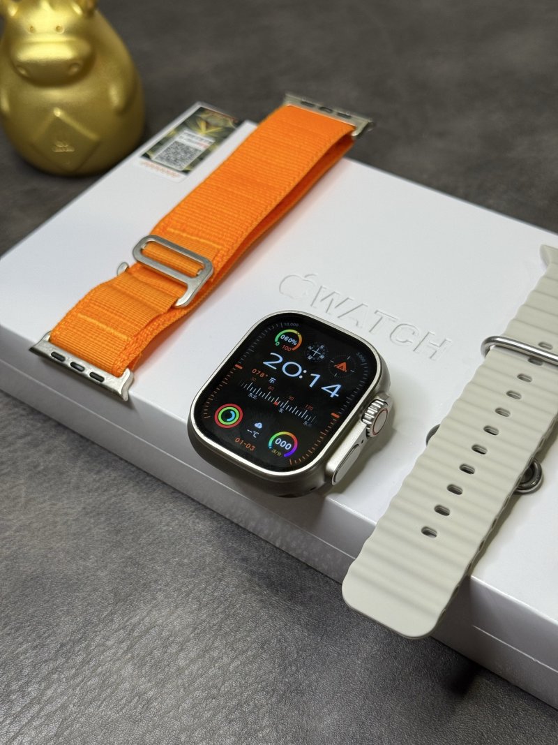 Apple Watch Ultra 2 Stainless Steel 46mm Silver
