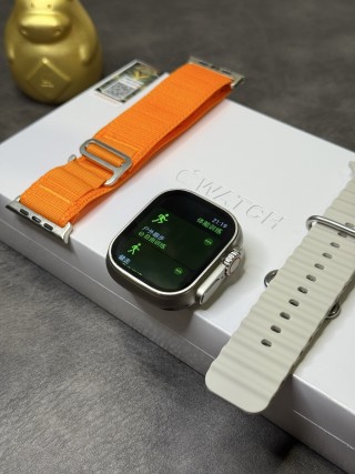 Apple Watch Ultra 2 Stainless Steel 46mm Silver view 6