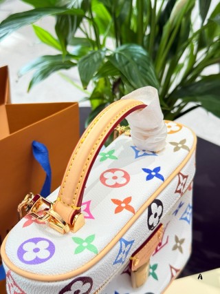 Louis Vuitton Vanity Multicolor Monogram Cosmetic Case view 4