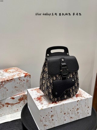 Dior Gallop Chest Bag Black Leather Canvas view 4