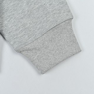 Polo Ralph Lauren Pony Embroidered Crew Neck Sweatshirt Grey view 9
