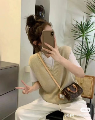 Louis Vuitton Speedy Monogram Brown Handbag view 9