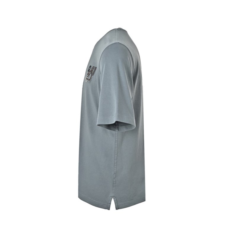 Grey Graphic Print Short Sleeve T-Shirt view