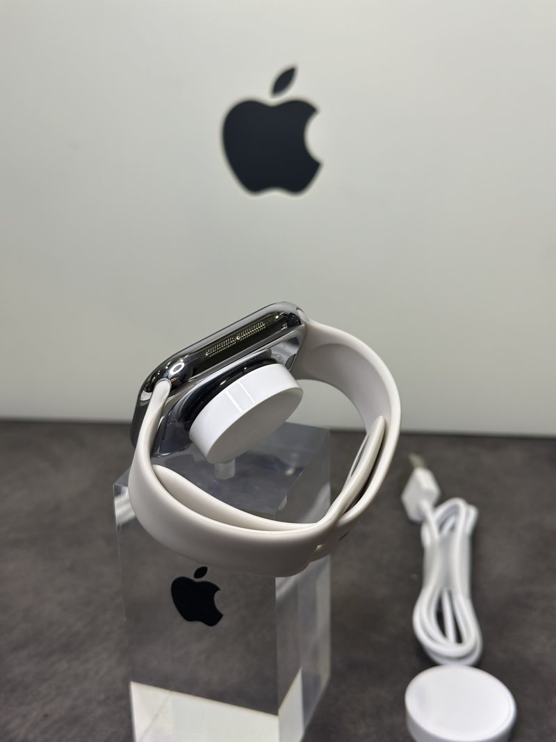 Apple Watch S10 46mm Titanium Silver Replica view