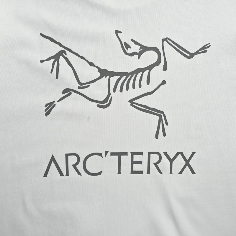 Arcteryx Beige Graphic Logo Short Sleeve T-Shirt view