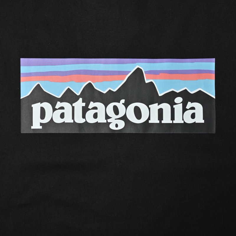 Patagonia Black Logo T-Shirt view