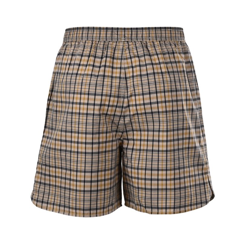 Beige Plaid Shorts - Premium Relaxed Fit view