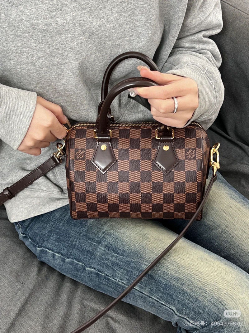 Louis Vuitton Damier Speedy Handbag Brown view