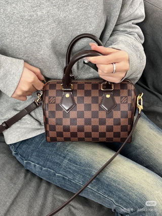 Louis Vuitton Damier Speedy Handbag Brown view 4