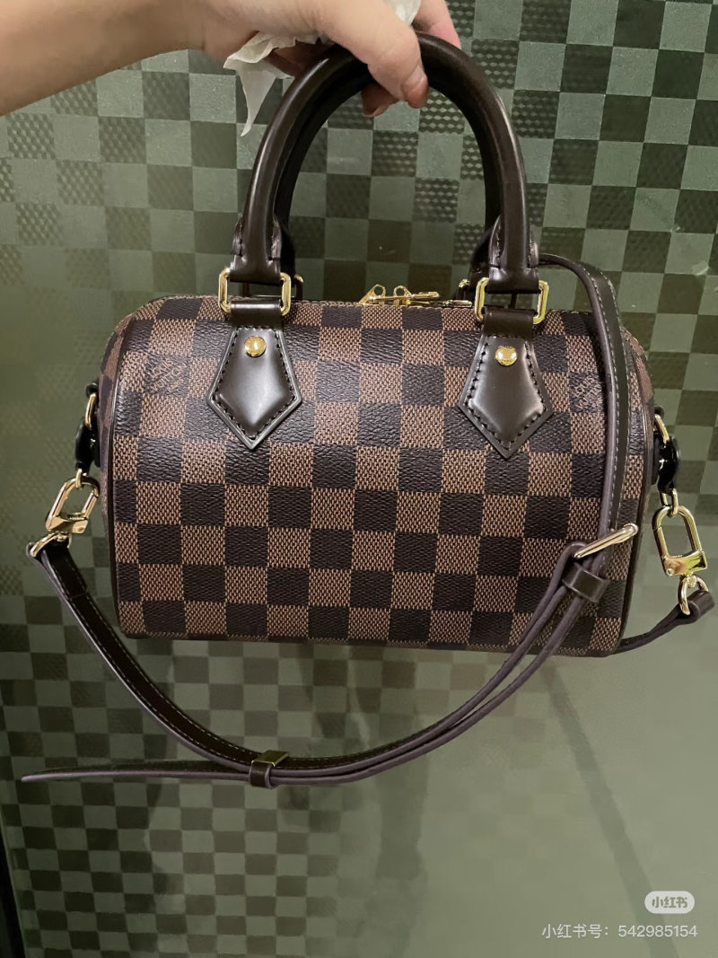 Louis Vuitton Damier Speedy Handbag Brown view