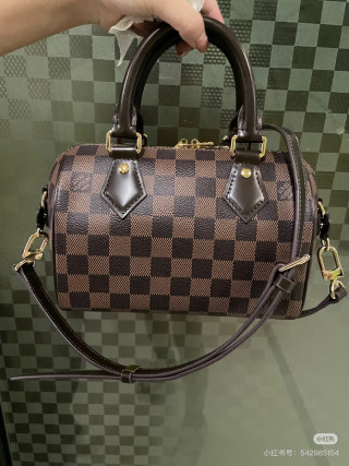 Louis Vuitton Damier Speedy Handbag Brown view 6