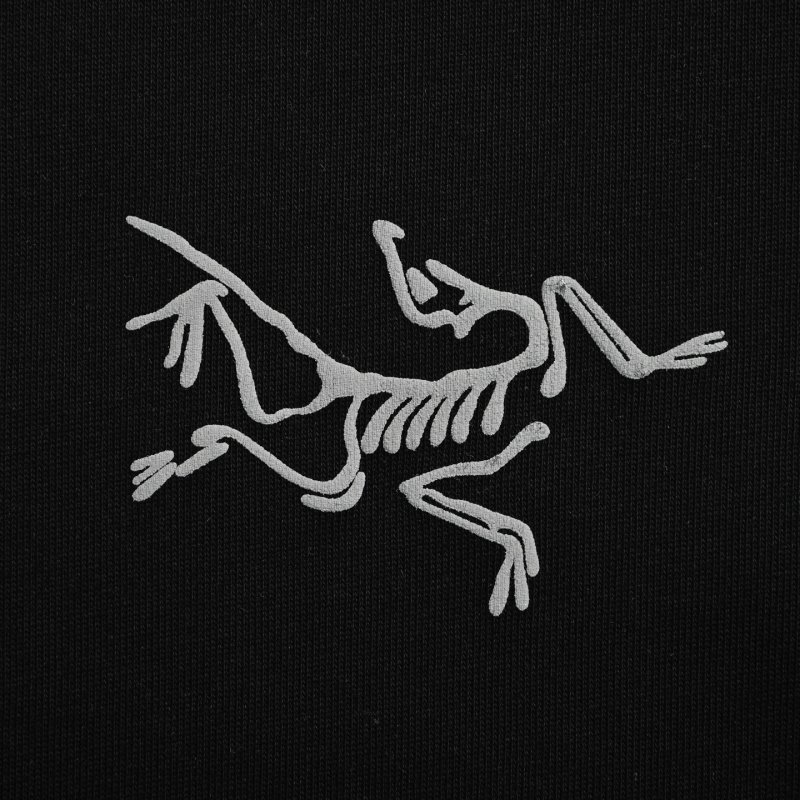 Arc'teryx Black Graphic Print T-Shirt view