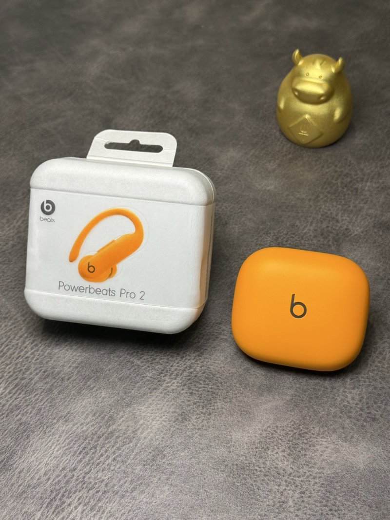 Beats Powerbeats Pro 2 Ear-Hook Wireless Earphones Orange