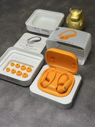 Beats Powerbeats Pro 2 Ear-Hook Wireless Earphones Orange view 13