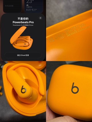 Beats Powerbeats Pro 2 Ear-Hook Wireless Earphones Orange view 14