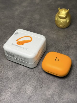 Beats Powerbeats Pro 2 Ear-Hook Wireless Earphones Orange view 2
