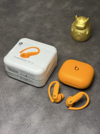 Beats Powerbeats Pro 2 Ear-Hook Wireless Earphones Orange view 3