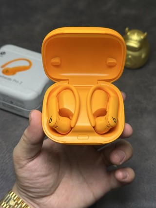 Beats Powerbeats Pro 2 Ear-Hook Wireless Earphones Orange view 8