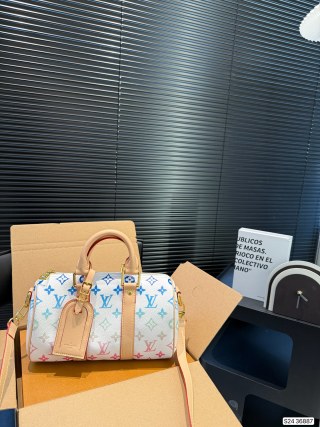 Louis Vuitton Speedy Monogram Canvas Multicolor Handbag view 3