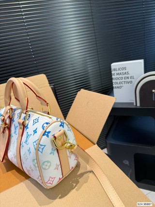 Louis Vuitton Speedy Monogram Canvas Multicolor Handbag view 4