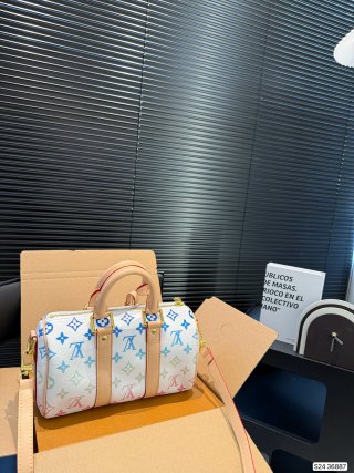 Louis Vuitton Speedy Monogram Canvas Multicolor Handbag view 5