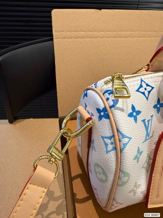 Louis Vuitton Speedy Monogram Canvas Multicolor Handbag view 8