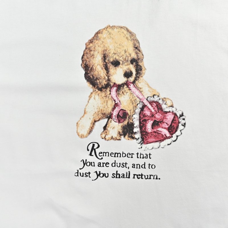 White Teddy Bear Graphic Short Sleeve T-Shirt view