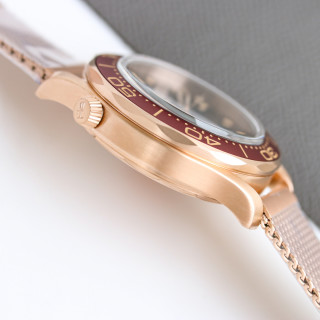 Omega Seamaster 300M Bronze & Burgundy Dive Watch view 7