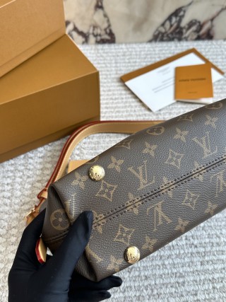 Louis Vuitton Carryall Monogram Canvas Shoulder Bag view 6