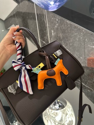 Hermès Birkin 29 Platinum Togo Leather Bag view 5